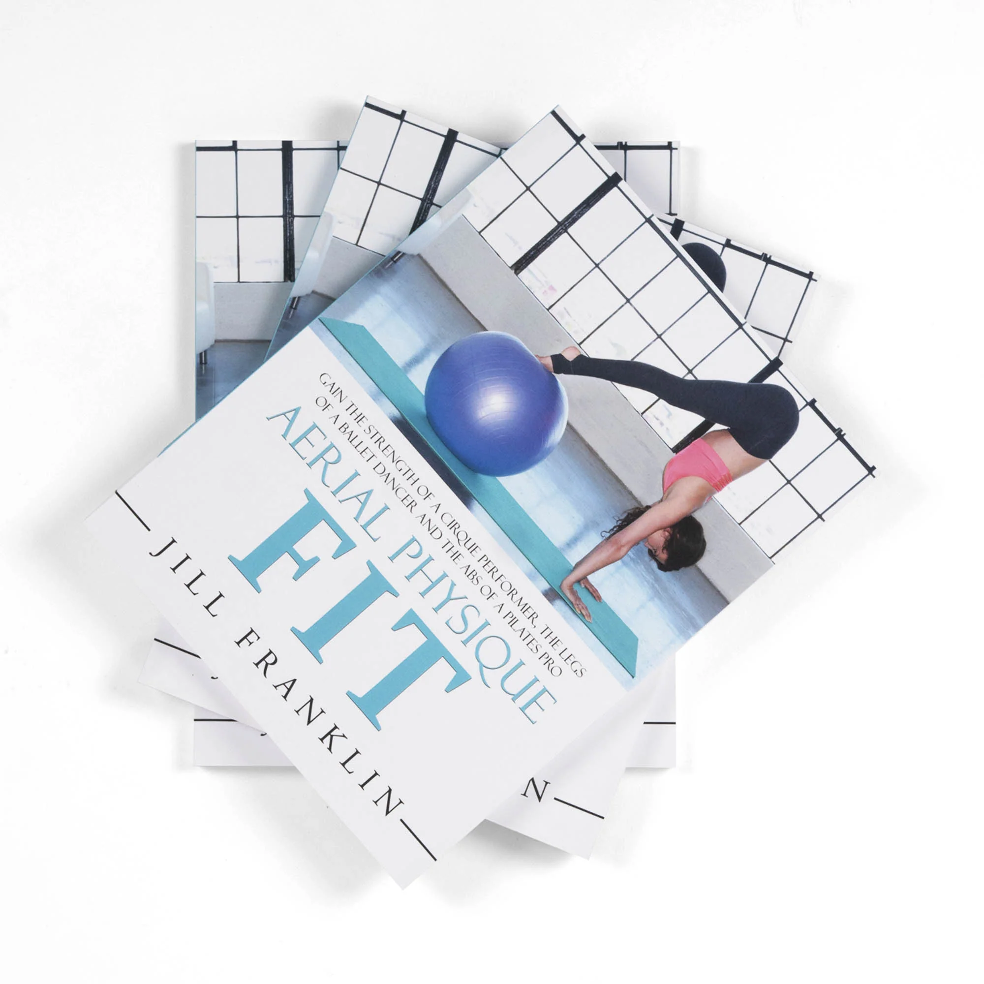 Aerial Physique FIT - Conditioning and training book - Image 9