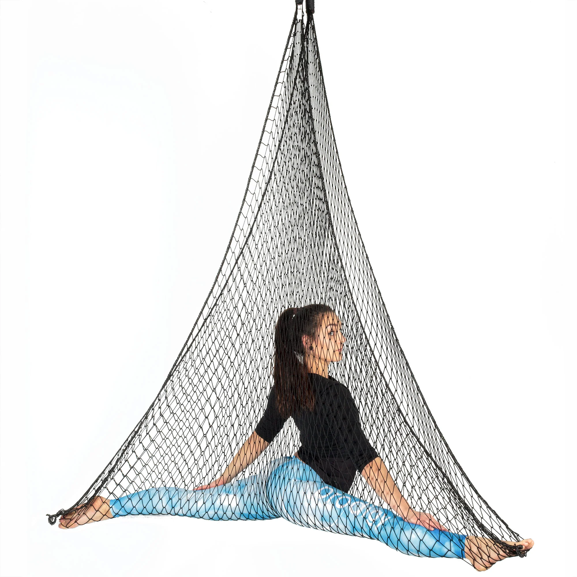 Prodigy Aerial Net - Image 11