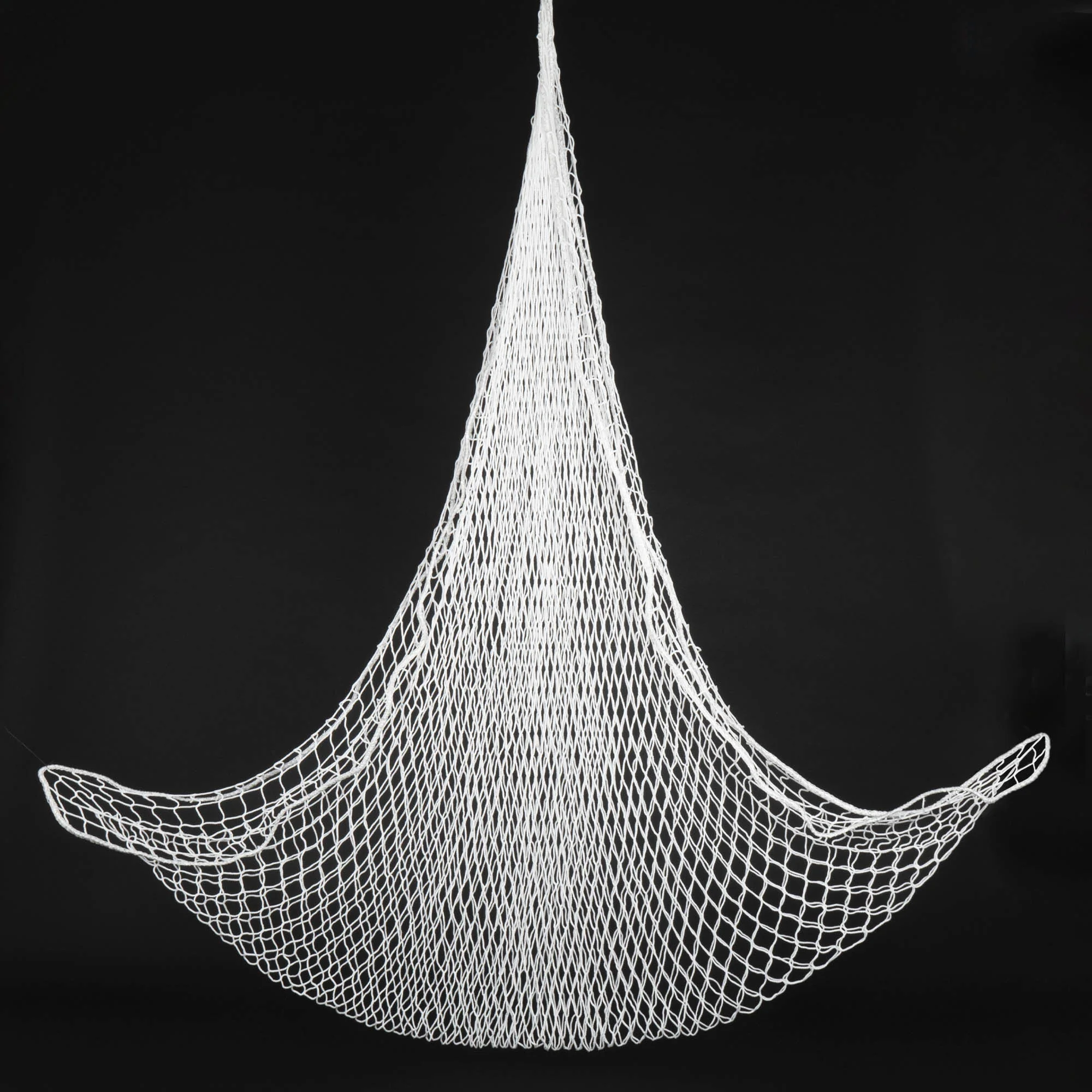 Prodigy Aerial Net - Image 3