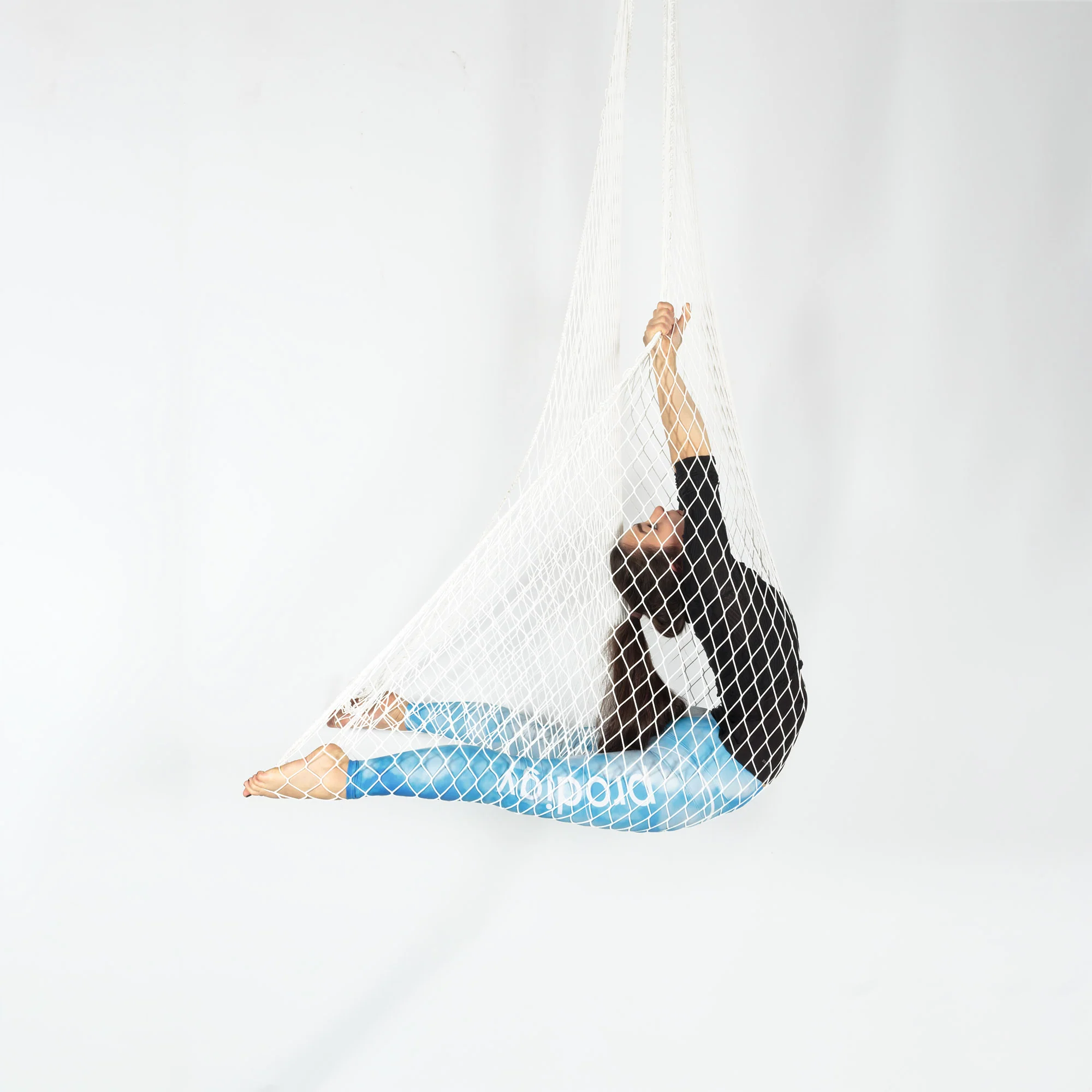 Prodigy Aerial Net - Image 4
