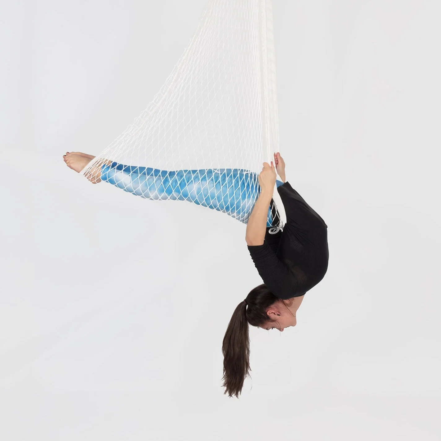 Prodigy Aerial Net - Image 6