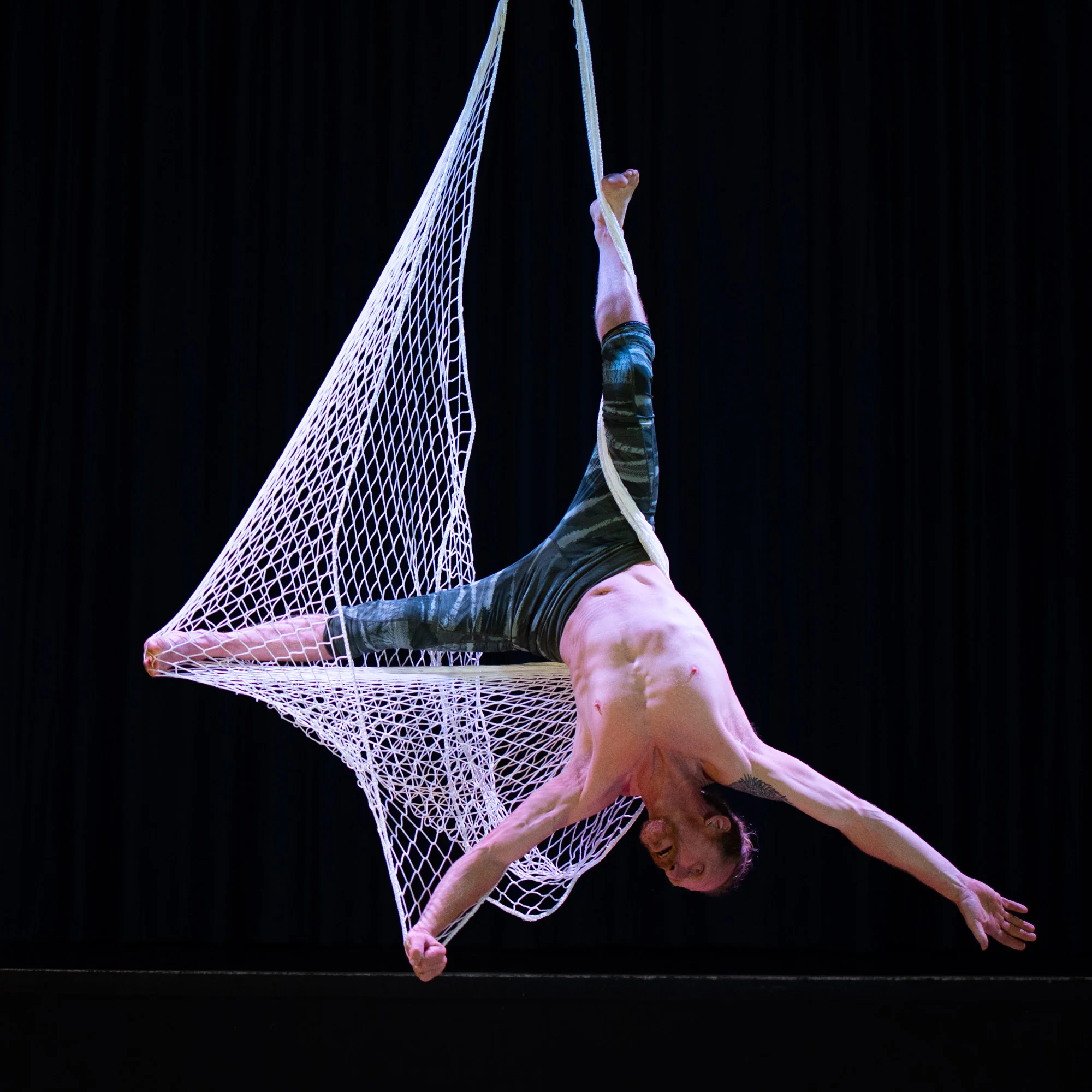 Prodigy Aerial Net - Image 7