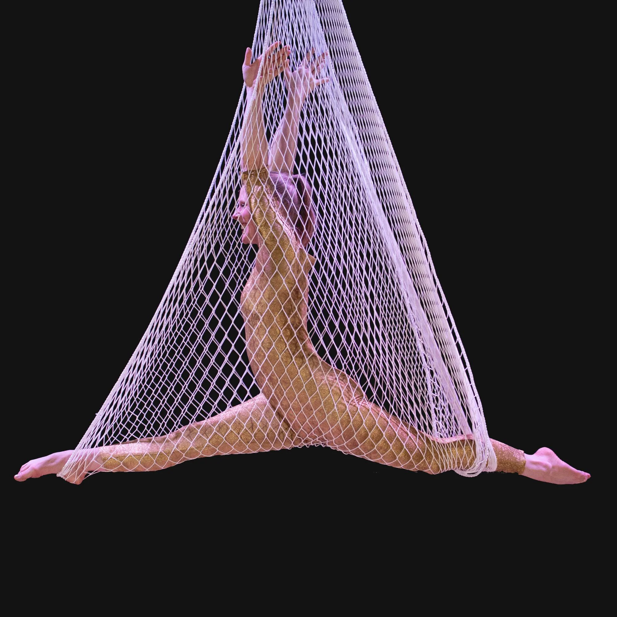 Prodigy Aerial Net - Image 8